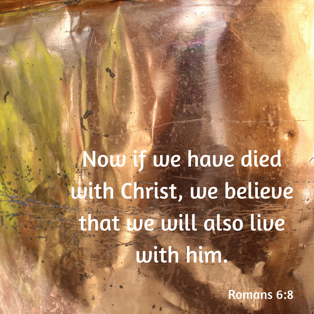 Alive to God David Maby