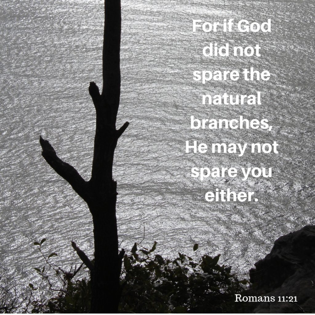 For if God did not spare the natural branches, He may not spare you either.