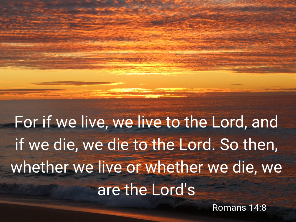 We Are The Lord s David Maby we-are-the-lord-s-david-maby