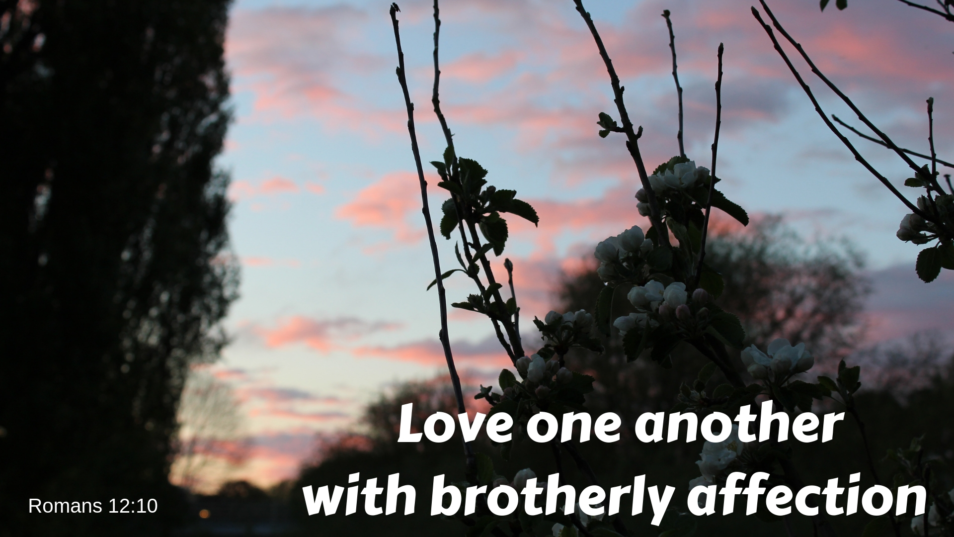 romans 12 10 love one another with brotherly affection... Love one another - David Maby