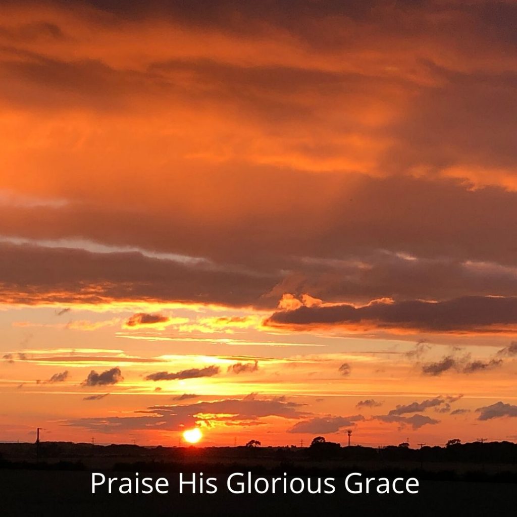 he predestined us for adoption to himself as sons through Jesus Christ, according to the purpose of his will, to the praise of his glorious grace, with which he has blessed us in the Beloved.